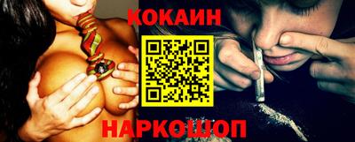 крисы Кулебаки