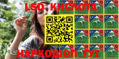 крисы Кулебаки