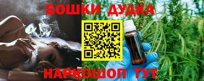 крисы Кулебаки