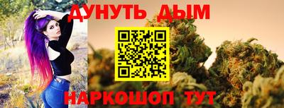 крисы Кулебаки