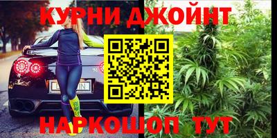 крисы Кулебаки