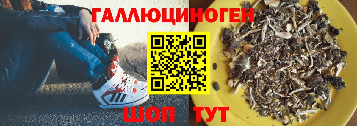Златоуст  Псилоцибиновые грибы прущие грибы  купить  цена  Вход с VPN 